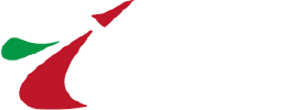 ANSER Logo