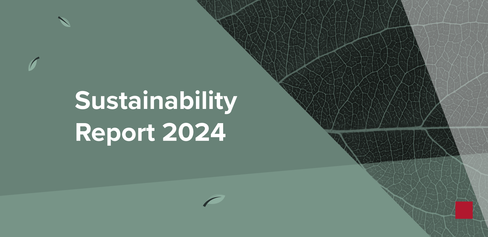 sustainability-report-2024